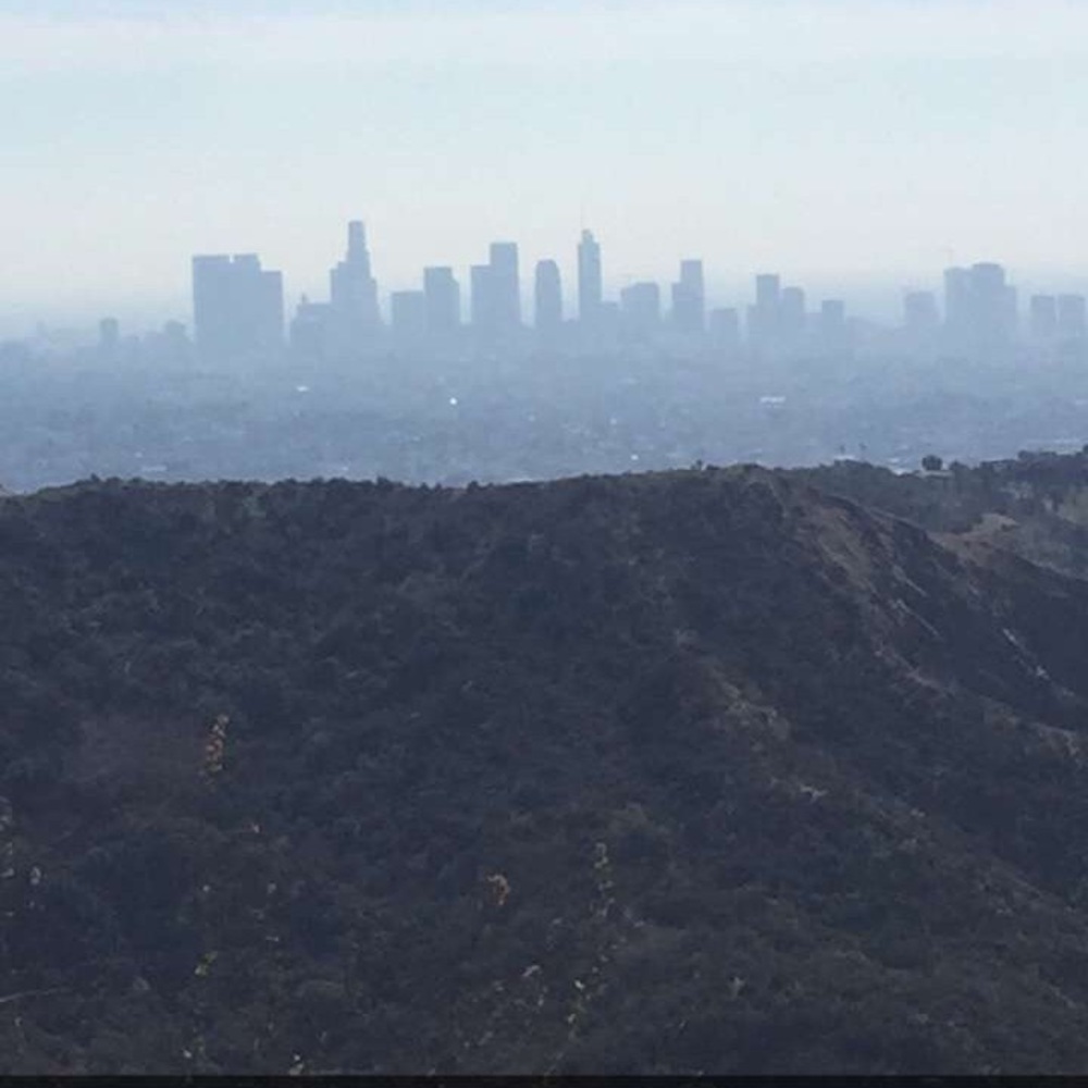 Meet your Posher, Dread